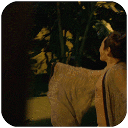 妖猫传gif表情包